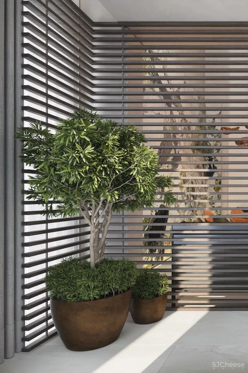 安生设计：水木世家·杨宅