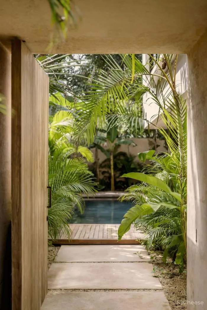 极简避世豪宅,养老的完美之选!