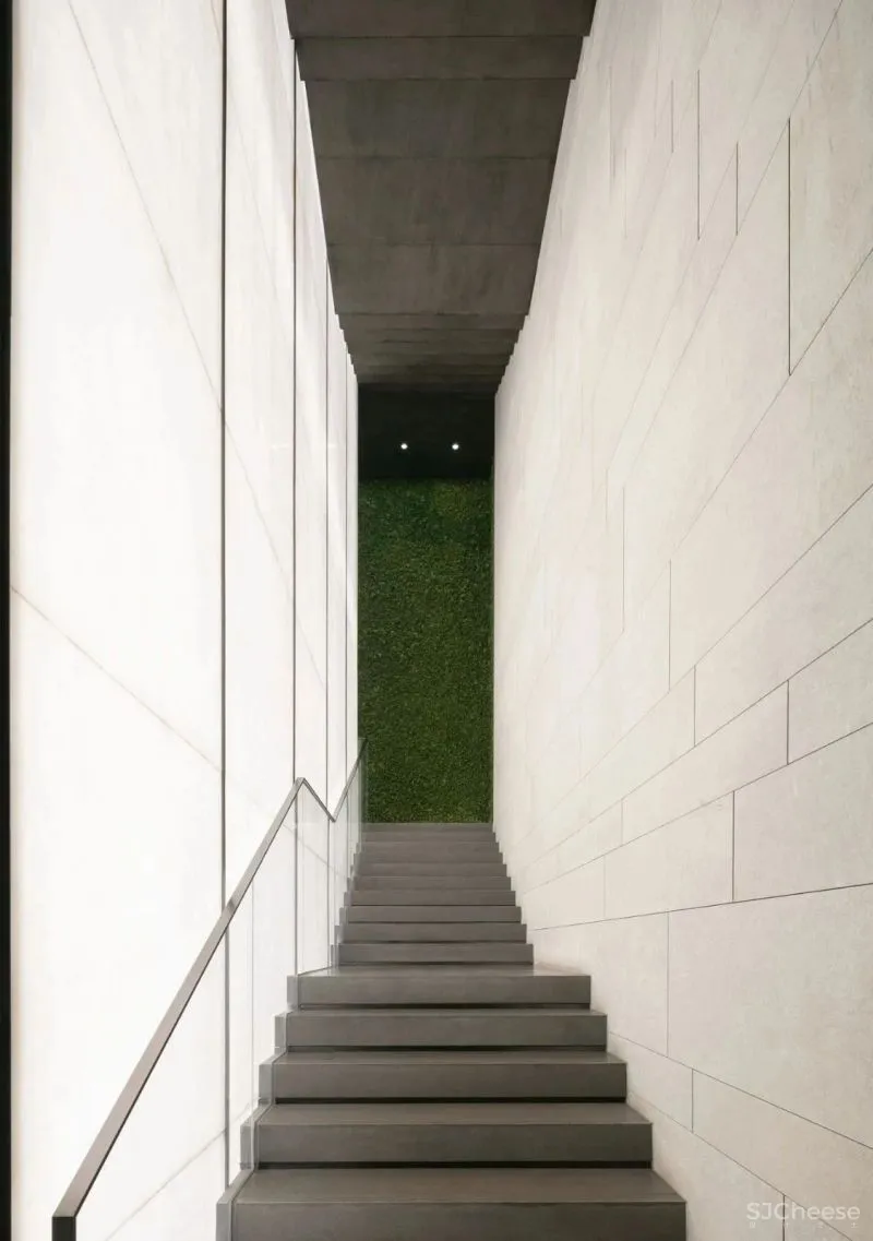 翘首眺江汉,低头见彩虹 DIA丹健国际