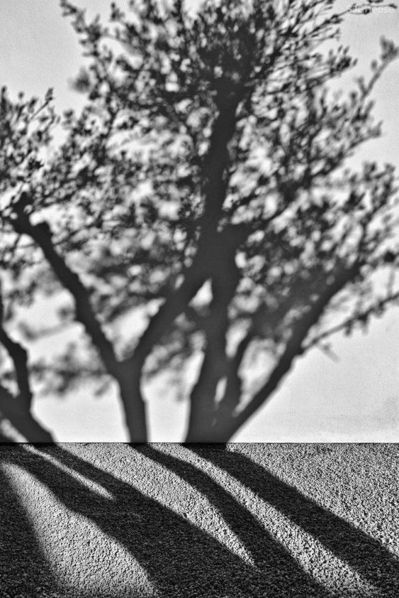 比利时建筑师Olivier Dwek-把现代极简发挥到极致!