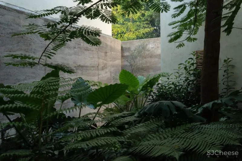 Casa Duraznos V Taller