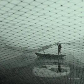 九度设计:自然美学 未来科技