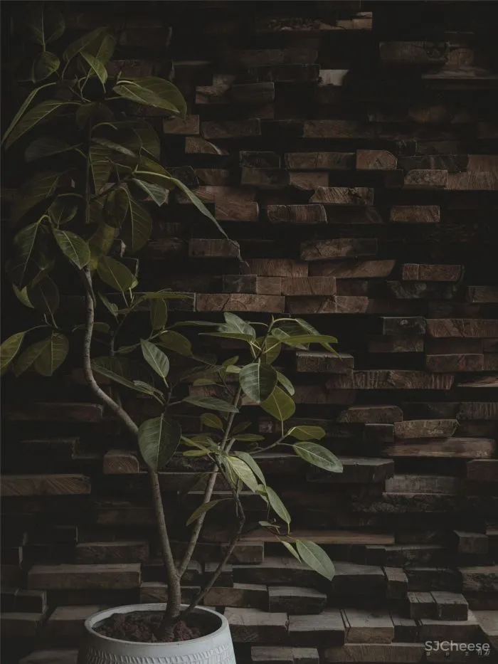 青山周平B.L.U.E.建筑事务所新作：失物招领杭州天目里生活提案店