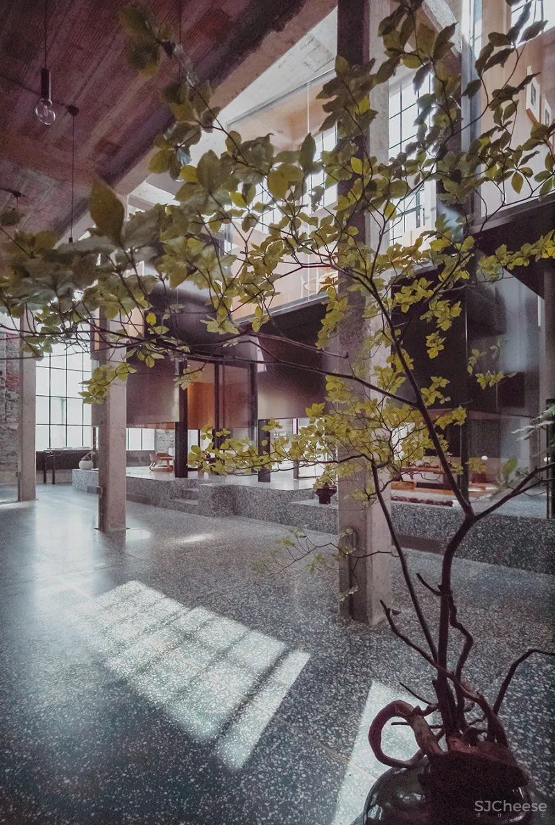 LJ 探店｜廷泰茶空间｜一个懂茶爱茶之人，斥资千万打造而来