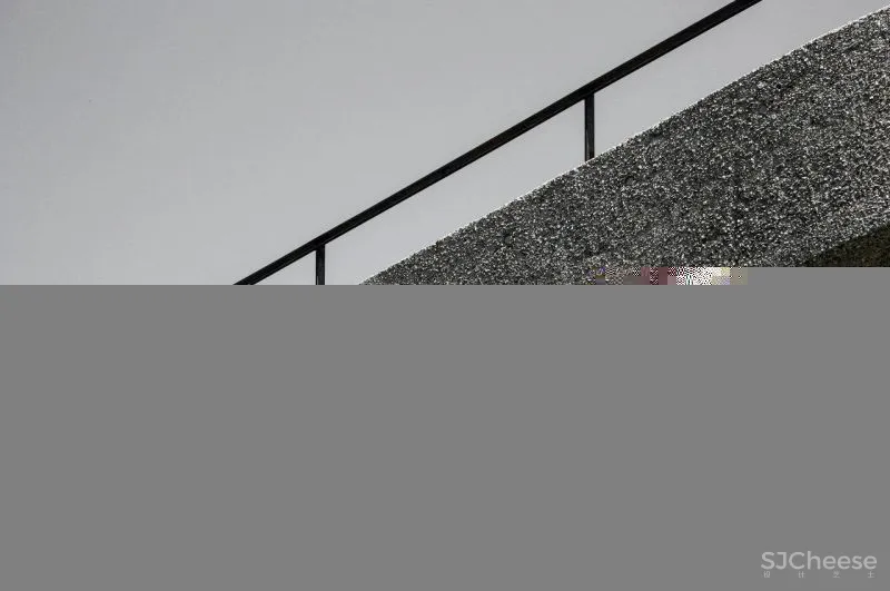 Markus Hinteregger 丨森林奇境的建筑美学