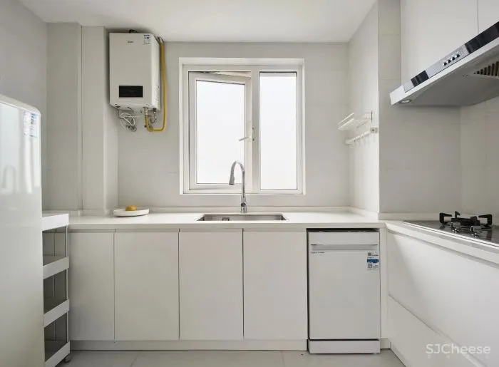 IT行业95后单身小哥哥,气质简约90m²,超撩!