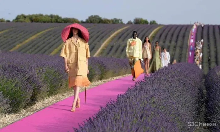 普罗旺斯百年建筑改造的精品酒店,建筑的时间感比薰衣草更迷人!