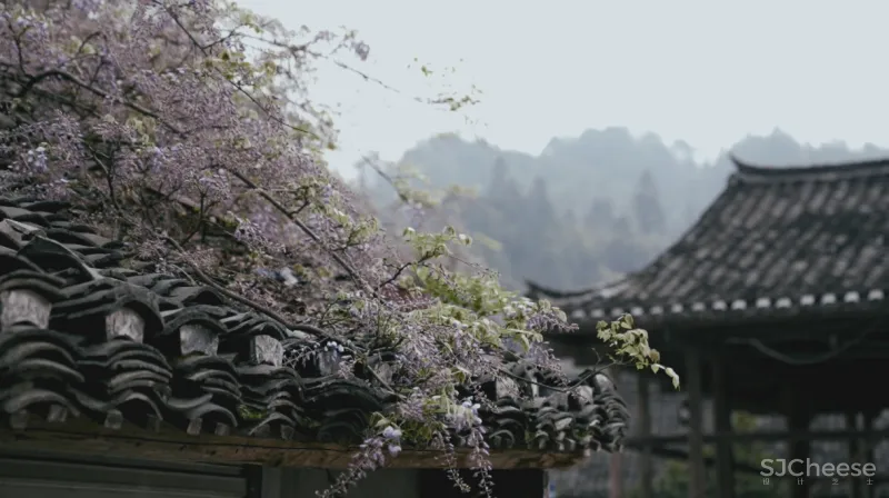 与外界断联也能过神仙日子,百位人类学者青睐的桃花源