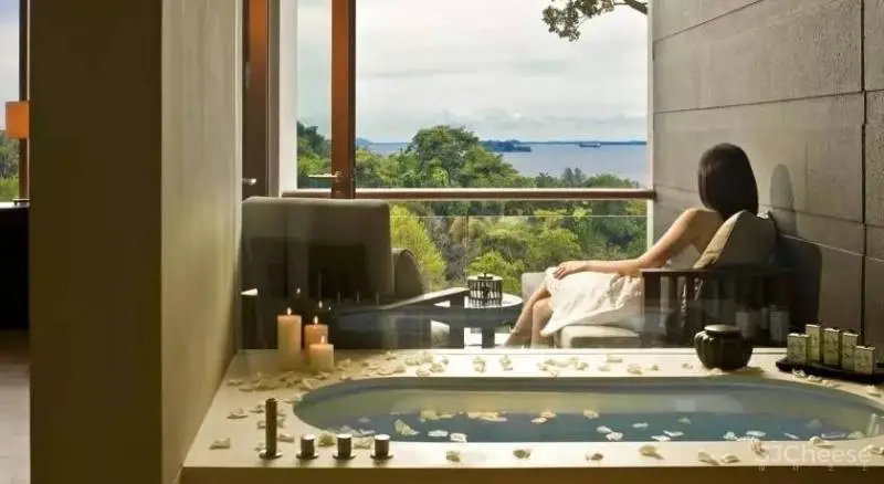 嘉佩乐Capella酒店:“ 城市度假”的理想模样