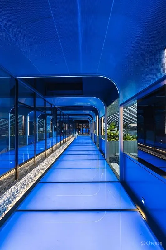 REAL BEAUTY!带你穿越时空