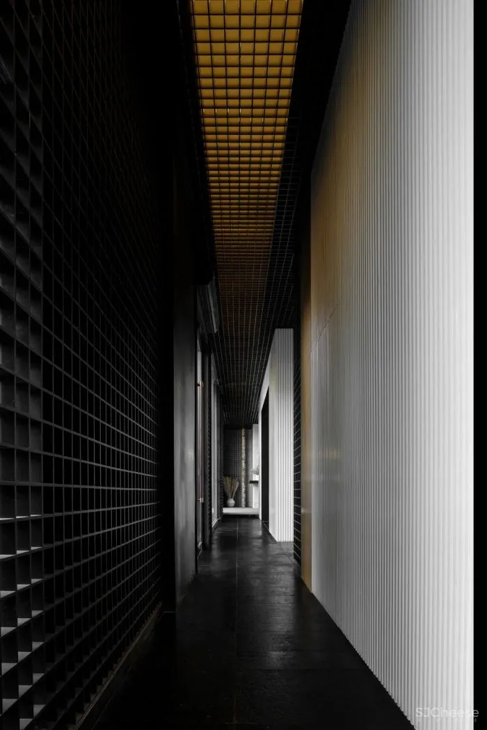 转衍之域 唐忠汉新作