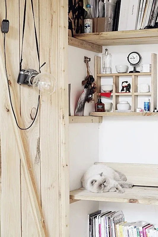 90后独居男生和他1500m²的极简住宅