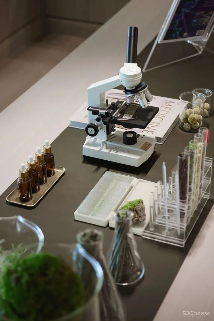 木质 肌理漆,描绘生活与办公的本真 观致设计