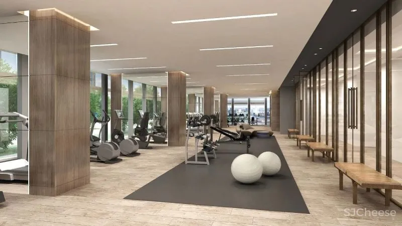 Neva Towers x莫斯科第一豪宅 HBA