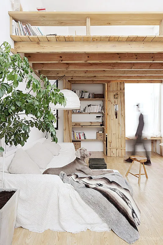 90后独居男生和他1500m²的极简住宅