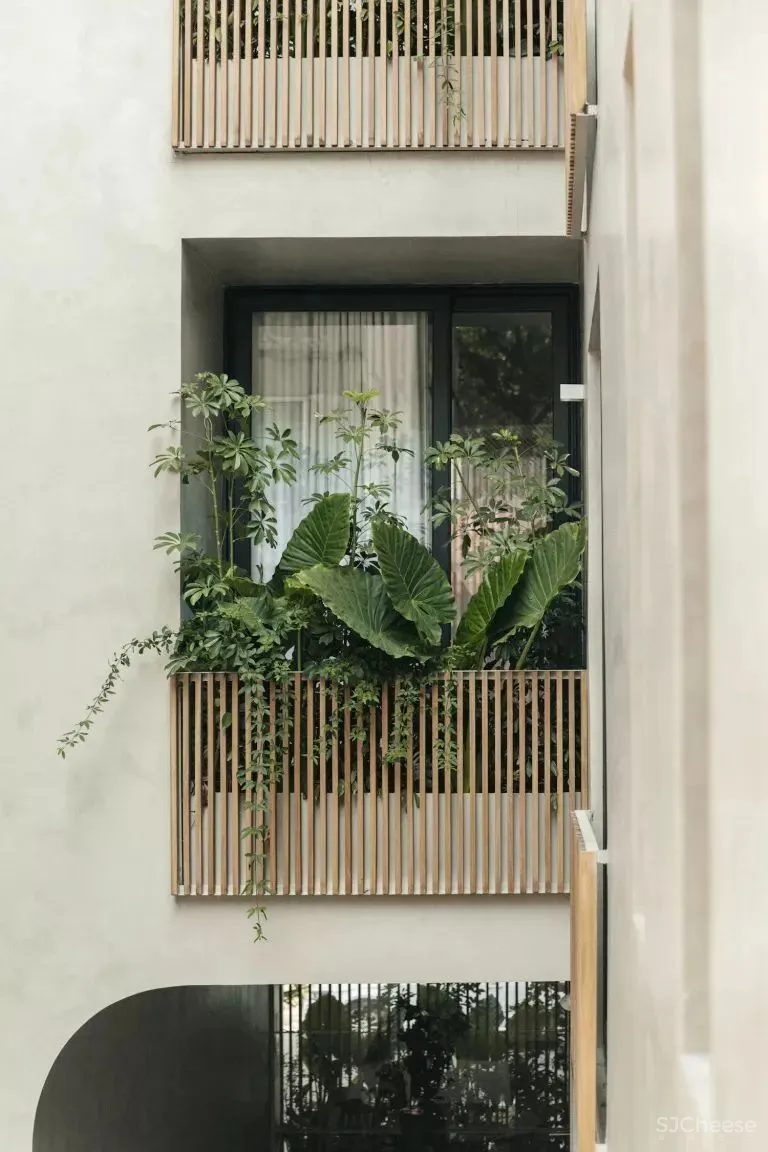 侘寂风格,墨西哥OCTAVIA民宿酒店 Pérez Palacios Arquitectos Asociados