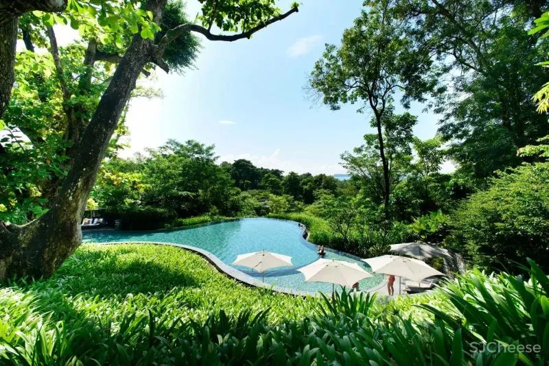 嘉佩乐Capella酒店:“ 城市度假”的理想模样