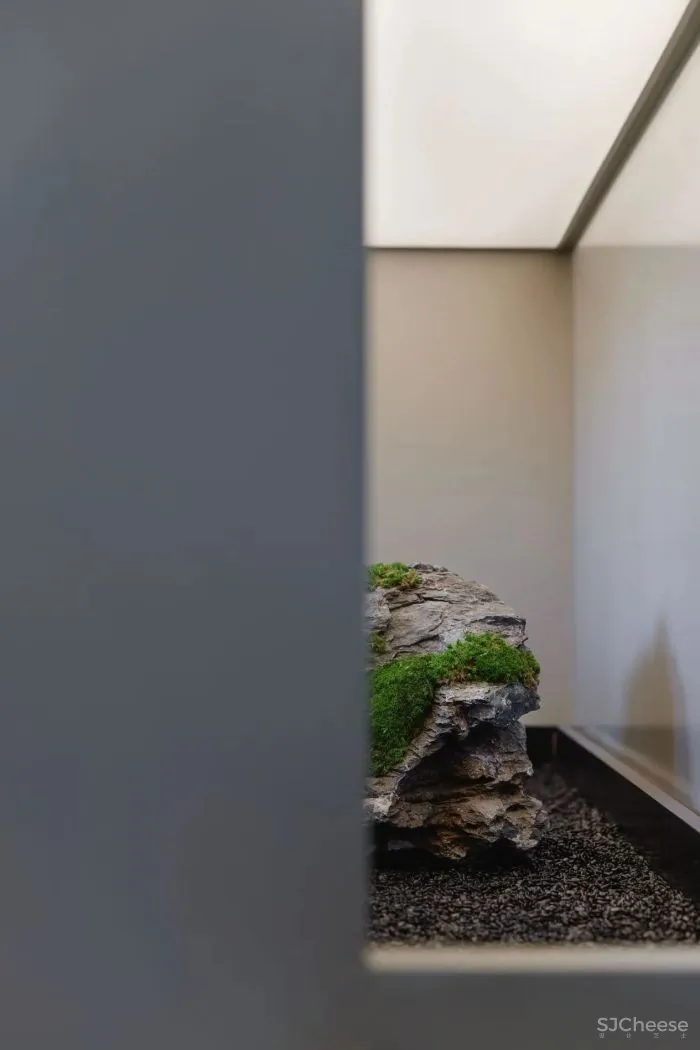 木质 肌理漆,描绘生活与办公的本真 观致设计