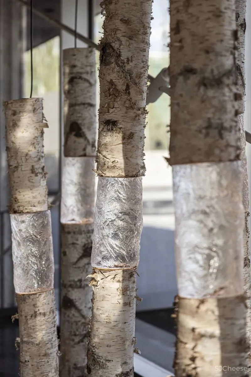 唐忠汉 有一种治愈，叫三亚！