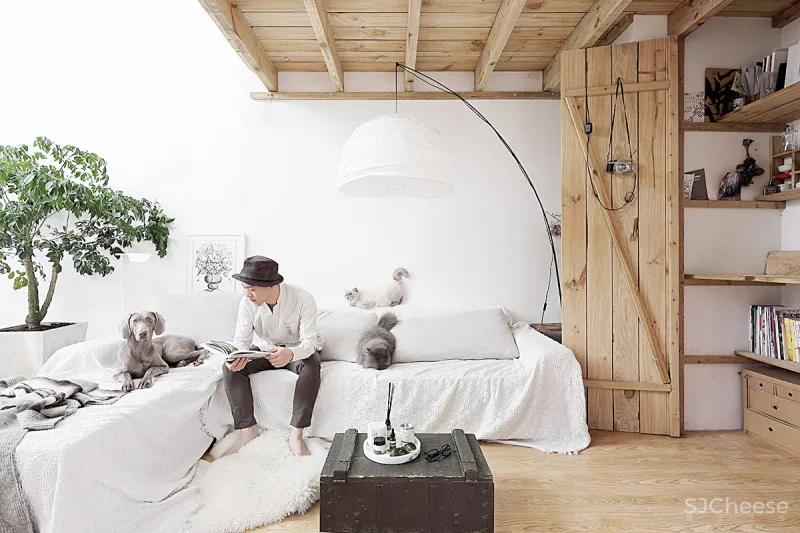 90后独居男生和他1500m²的极简住宅