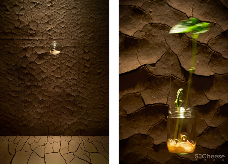 资生堂的 6 个橱窗设计，今年请来了妹岛和世