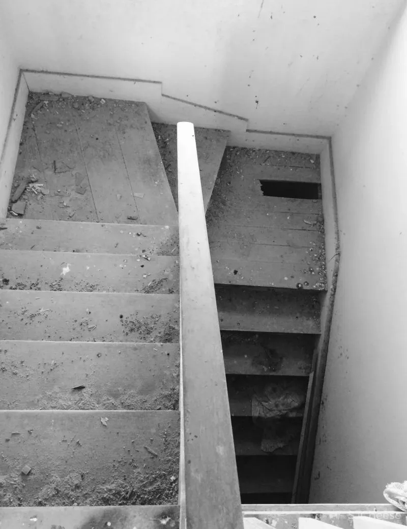 PF Architecture Studio 以中世纪蝶形屋顶为扩建设计的海边别墅