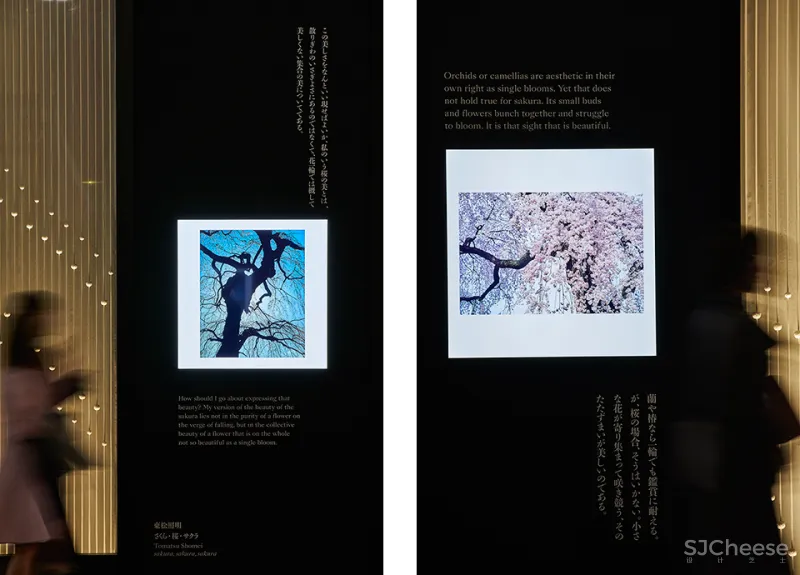 资生堂的 6 个橱窗设计，今年请来了妹岛和世