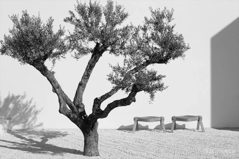 比利时建筑师Olivier Dwek-把现代极简发挥到极致!