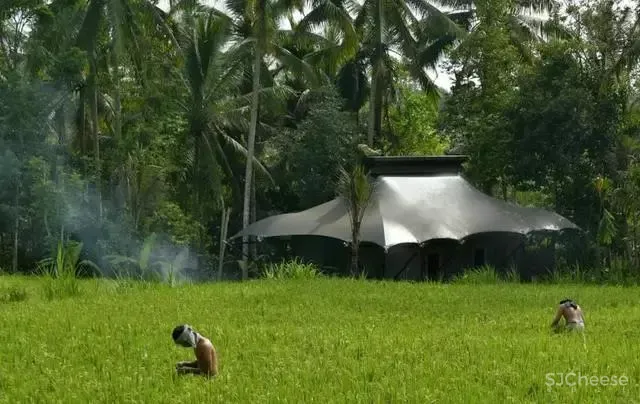 嘉佩乐Capella酒店:“ 城市度假”的理想模样