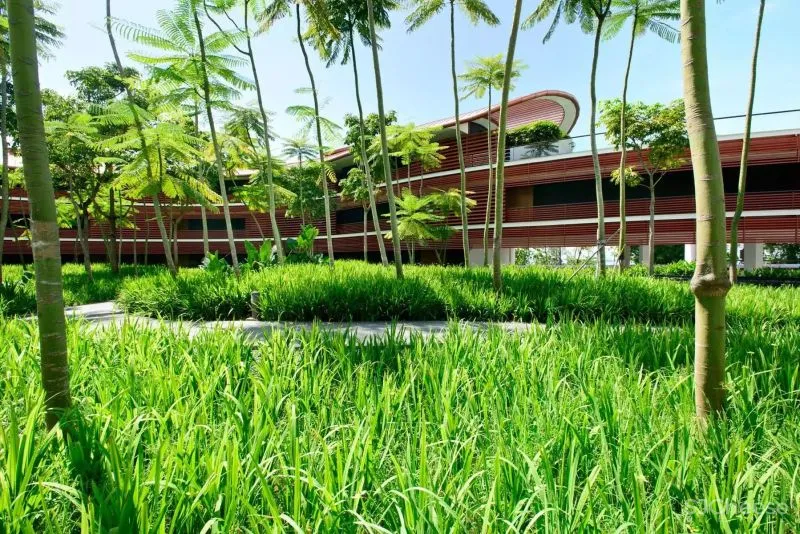 嘉佩乐Capella酒店:“ 城市度假”的理想模样