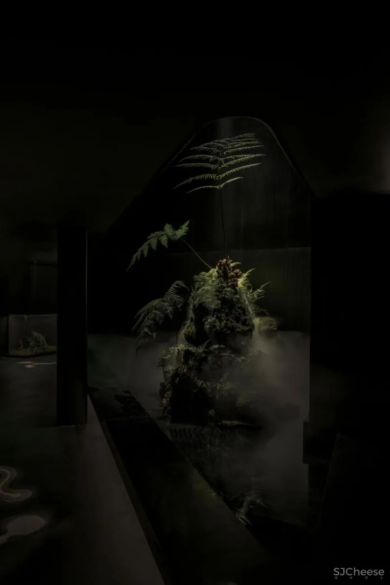 内建筑沈雷最新设计:LS Spa!