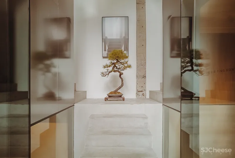 LJ 探店｜廷泰茶空间｜一个懂茶爱茶之人，斥资千万打造而来