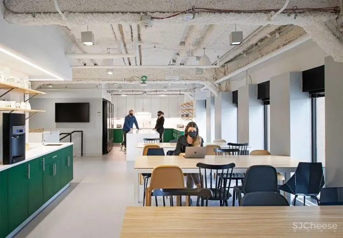 办公区的色彩艺术