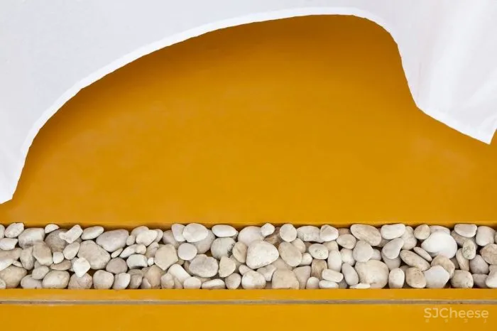 MNMA Studio 野性与灵性的呼唤