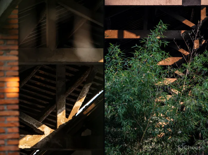 李聪 - 陈书灏 • 莫干山蚕种场｜历史保护建筑“化茧成蝶”