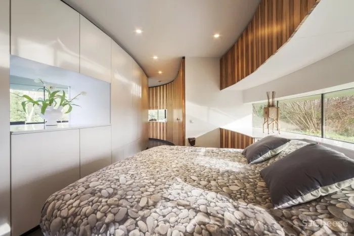 为一条狗设计的全景别墅