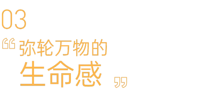 新作帝凯设计 丨 流淌动态力量的时空综合体
