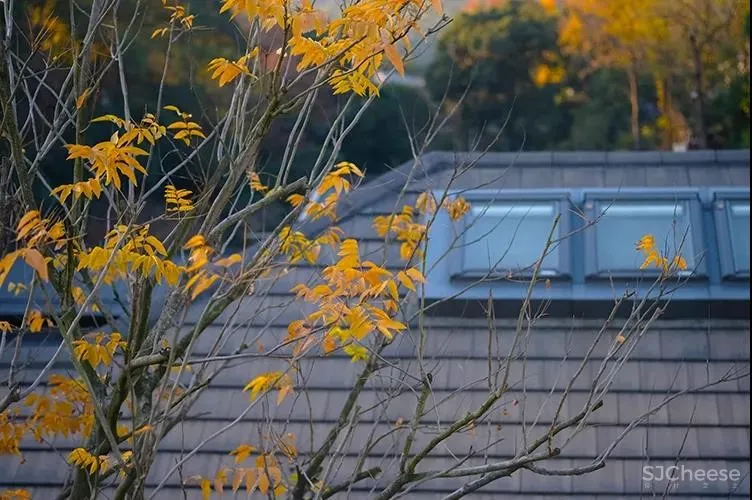 向心而居,理想生活的伊甸园