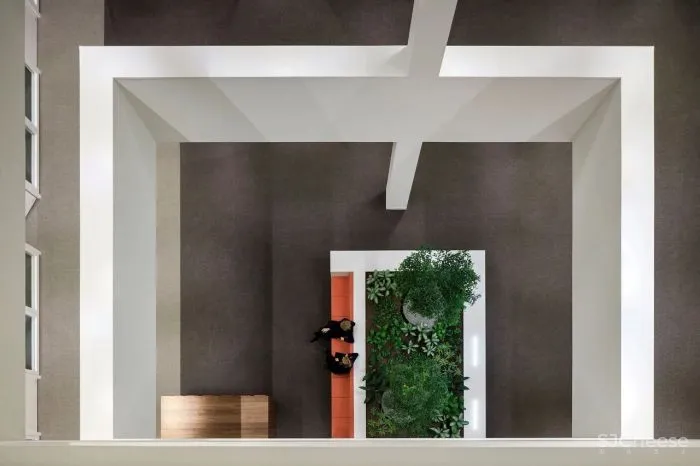 KAAN 新作 具有纪念意义和组成感的阿姆斯特丹新法院大楼