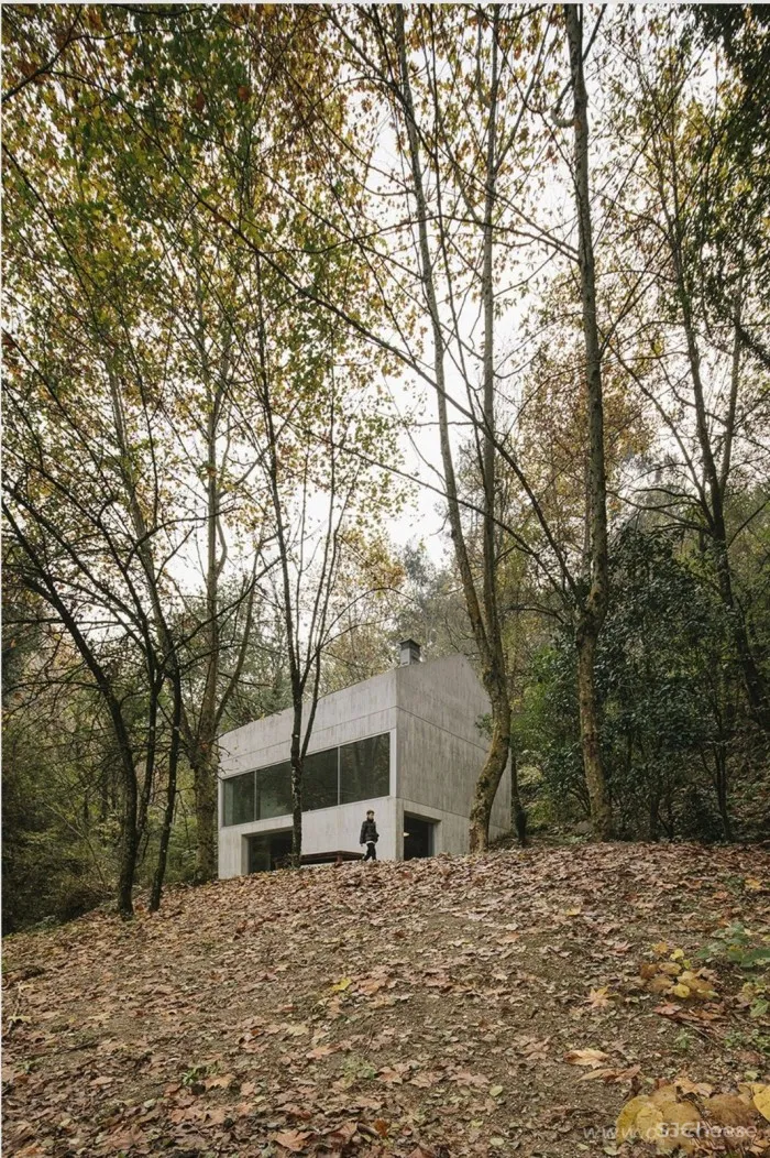 感受Carvalho Araújo的经典设计之美