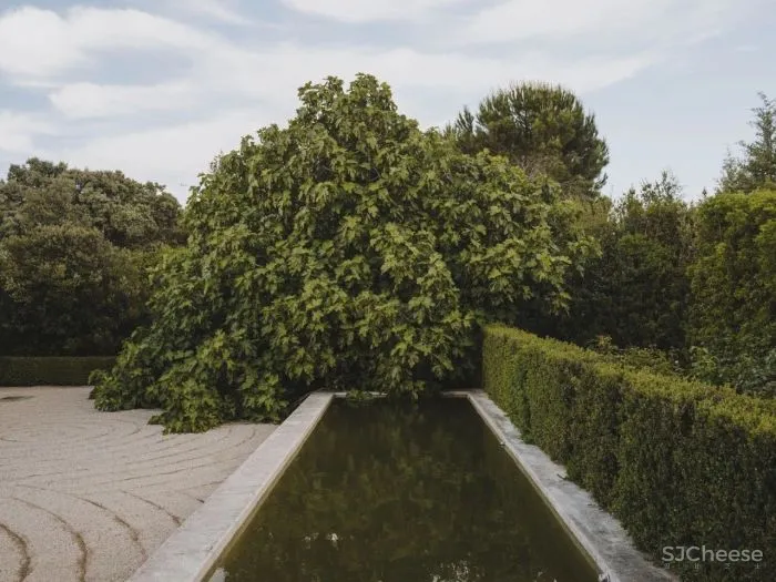 从哲学跨界到景观设计大师,他却说自己只是 一位 “ 园丁 ”