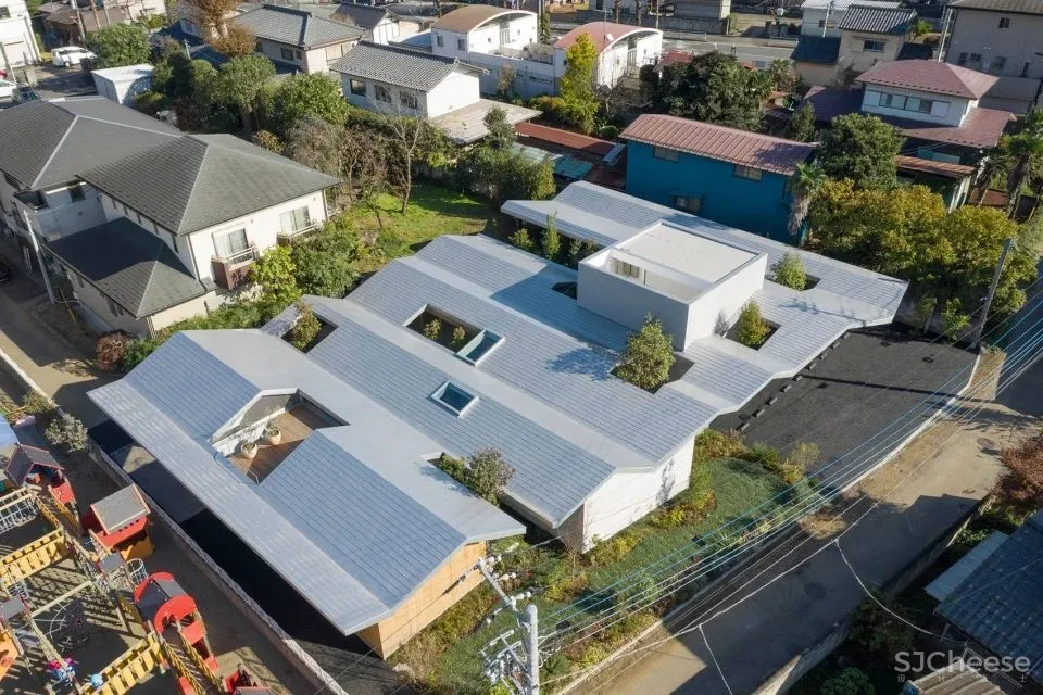 新作丨 树木穿透屋顶 林中诊所 Takashige Yamashita Office