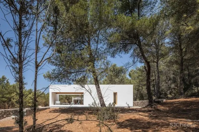 朴素的极简主义住宅