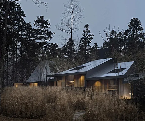 建筑师陶磊在山林深处打造“疗愈系”酒店