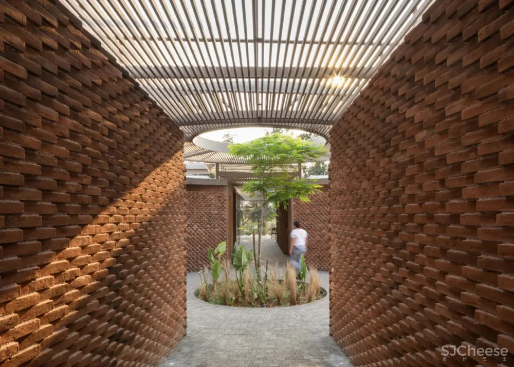 温暖的墨西哥自然主义 Daniela Bucio Sistos