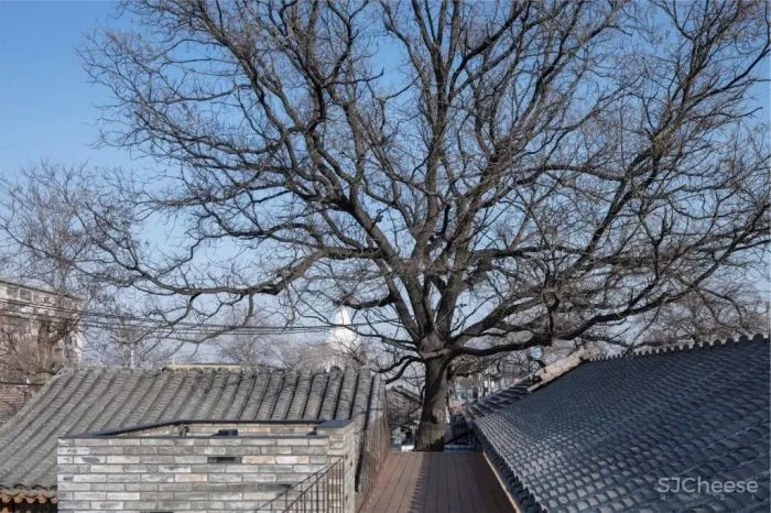 破旧大杂院改造成四合院民宿