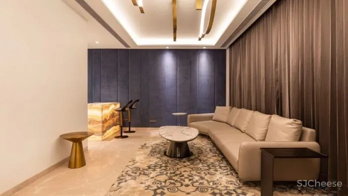 印度Carbonado别墅 23DC Architects