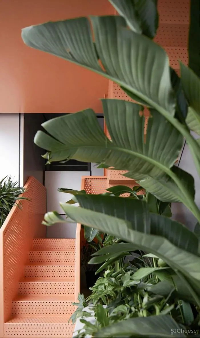 宇合光年 H28治愈星球,用童话诠释温柔的力量守护