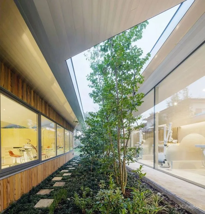 新作丨 树木穿透屋顶 林中诊所 Takashige Yamashita Office