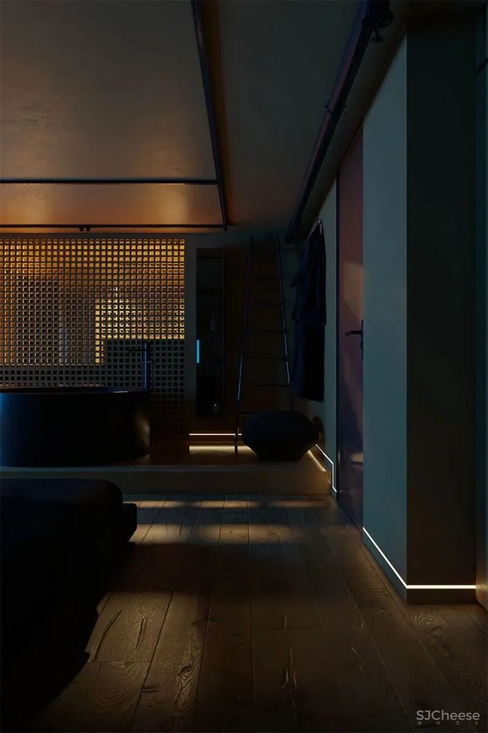 不一样的禁欲主义